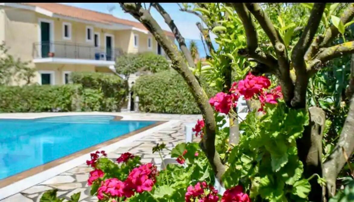 Lemon Tree Apartments A D Argostoli  Ngoại thất bức ảnh